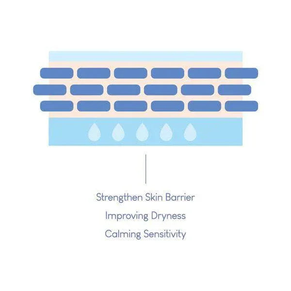 PURITO Dermide Cica Barrier Sleeping Pack 80ml - Kbeauty.sale
