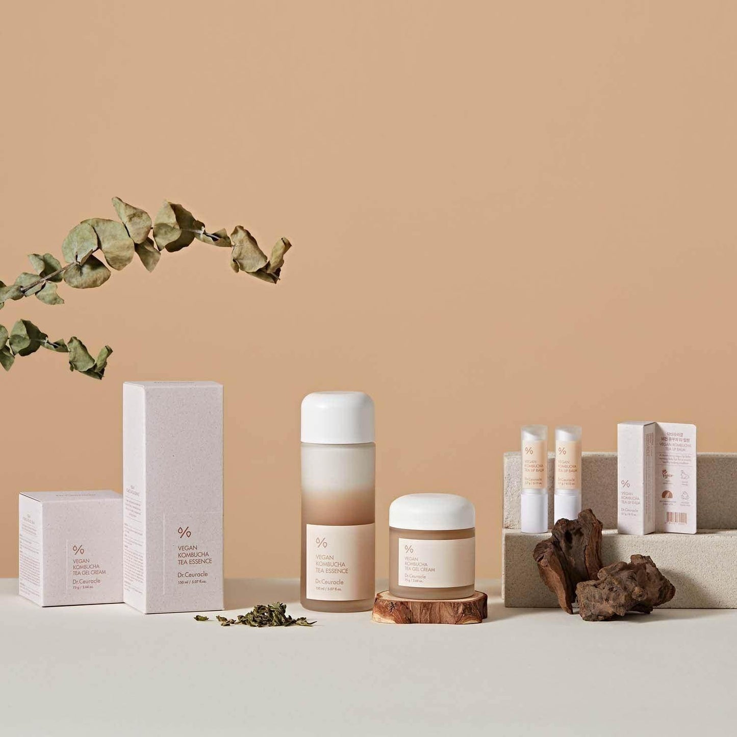 Dr.Ceuracle Vegan Kombucha Tea Gel Cream 75g - Kbeauty.sale