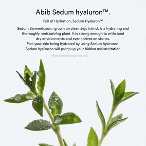 Abib Sedum hyaluron pad Hydrating touch - 165ml. 75 pads