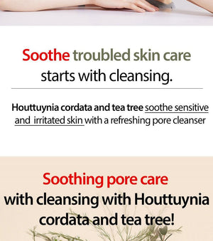 MARY&MAY Houttuynia Cordata + Tea Tree Cleansing Foam - 150ml - Kbeauty Sale | Authentic Korean Skincare Products