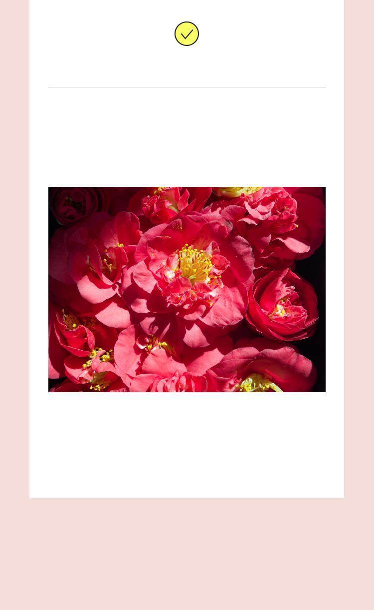 Mamonde AGE CONTROL SKIN LIFT SOFTENER 200ml - Kbeauty.sale