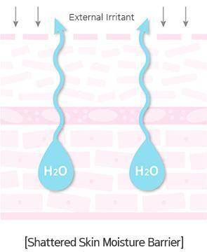 Mamonde PROBIOTICS CERAMIDE SKIN SOFTENER 200ml - Kbeauty.sale