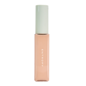 ENTROPY ORGANZA FIT SPATULA FOUNDATION #21.1