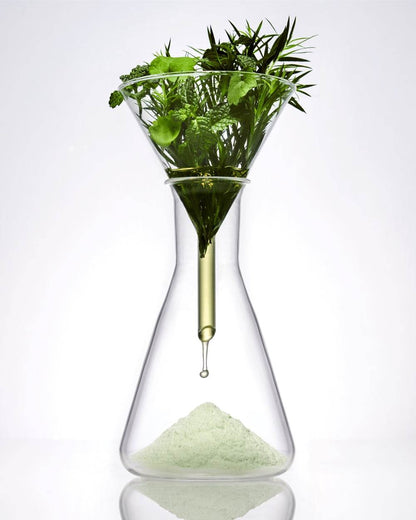 Centellian24 Madeca Powder Tea Tree AC 6g - Kbeauty.sale